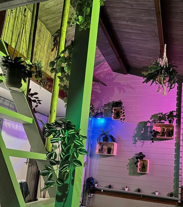 Jungle Style Lodge With Jacuzzi ,Sauna And Garden Near Amsterdam Vijfhuizen Εξωτερικό φωτογραφία